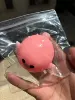 Puffer fish pink