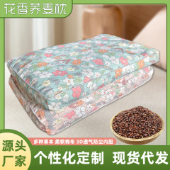 荞麦枕头家用颈椎枕助睡枕头纯棉花草枕护颈枕可拆洗艾草枕头厂家