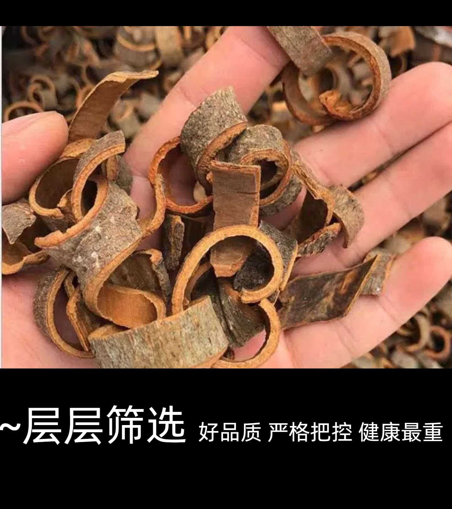 Guangxi Cinnamon Bark Rou Gui 500g Dried Cassia Pieces for Stews Braises and Soup specifications