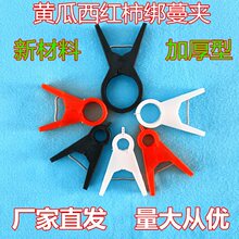 �����S�ϵ���A���ъA�ӵ����A�S�ϊA�ӵ���A���t�������A�����A