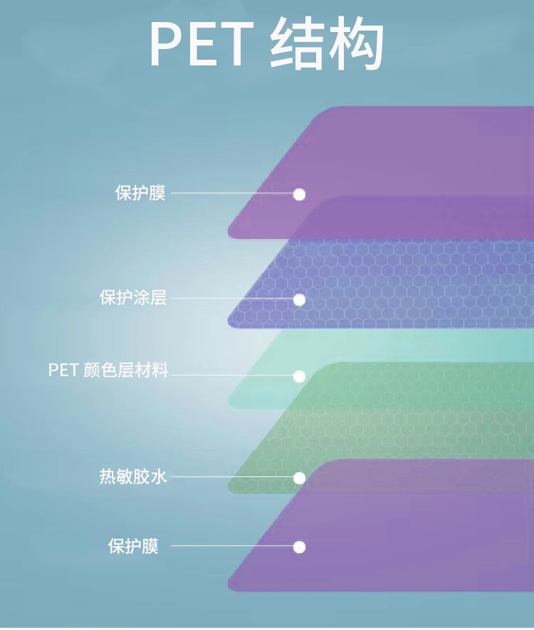 Factory Wholesale More Than 1000 Colors Pet Series Color Changing Film Car Paint Protective Film Color Changing Film
