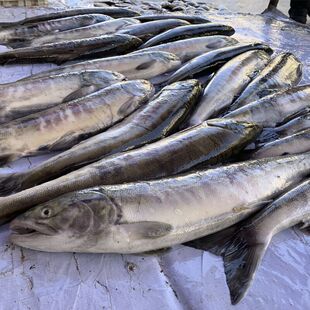 ��S���]���R���~���h������l���r