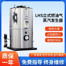 蒸汽发生器;燃气锅炉;热风炉