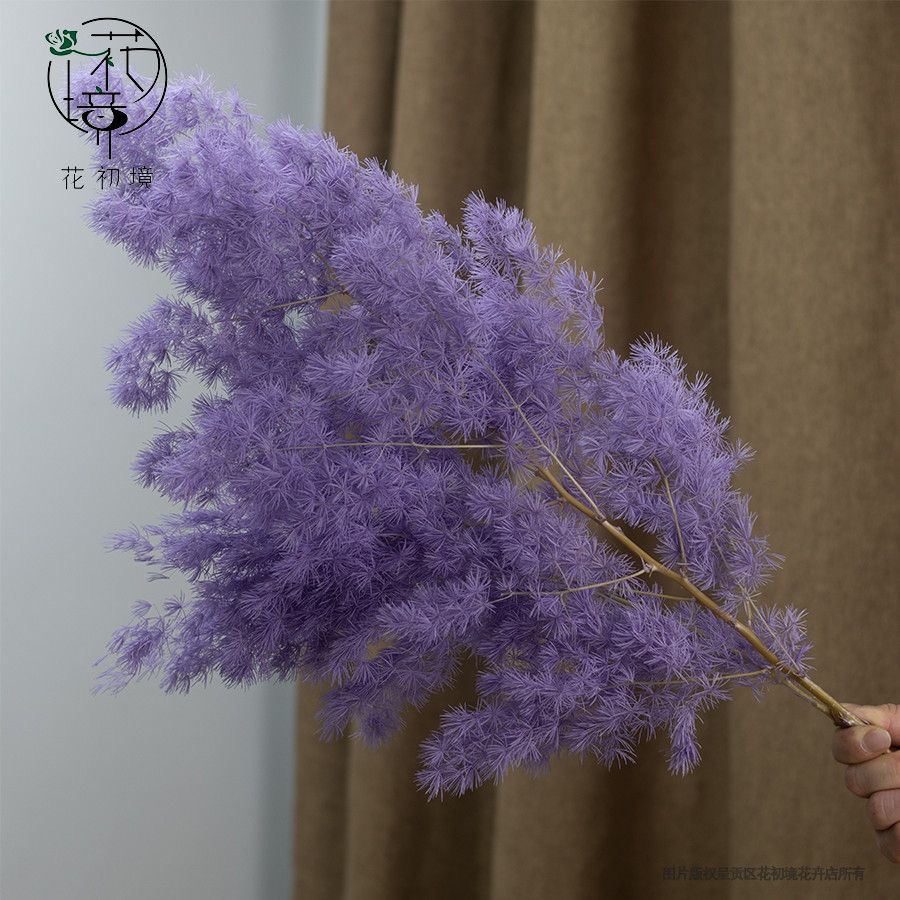 보라색 약 100그램