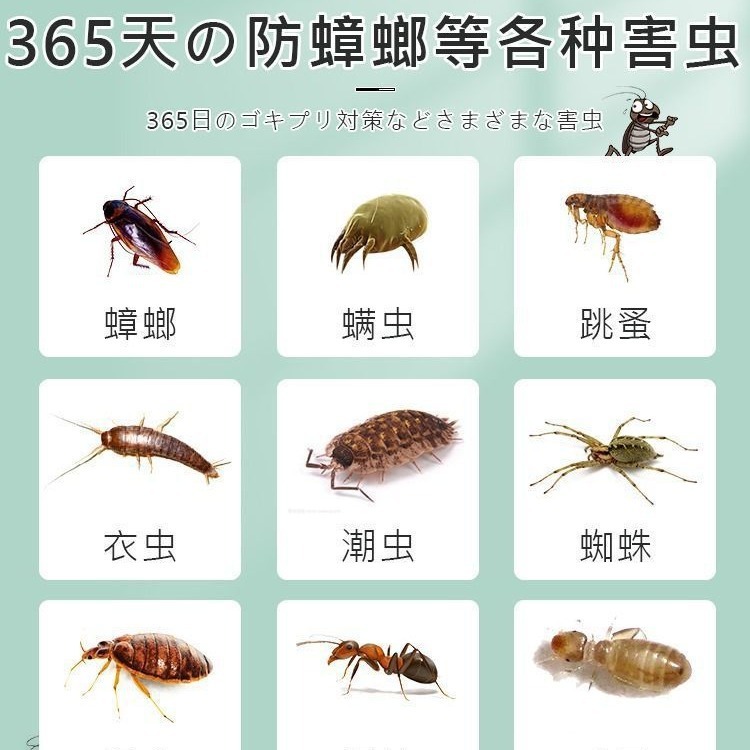 樟脳丸家庭用無毒たんす防かび防虫除湿防湿除虫香薫服防虫ゴキブリボール除味|undefined