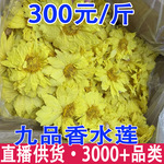 九品香水莲 紫色九品香水莲 黄色九品香水莲 定型九品香水莲黄色