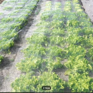 �˺����Ƹ��ܶ�40Ŀ50Ŀ�ײ˷��x�W�Ӻ���ĥ���������W������B�W