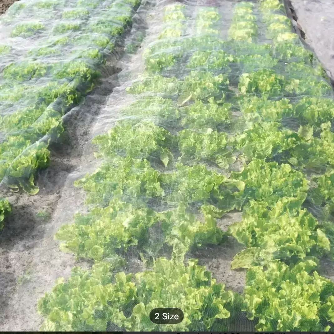 宜豪美牌50目防虫网防蚜虫白粉虱专用尼龙布纱网防蚊窗纱pe网纱