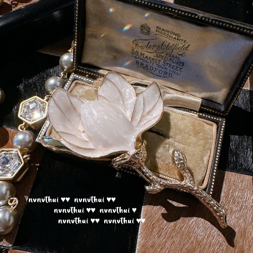 IMG_1582(20230418-185658)