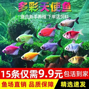 ��ʹ�~���w�^�p�~С�͟Ꭷ�~�߲��~��Ⱥ�~�ݸן����~