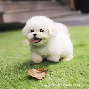 ���l���ۼ��N���ܹ�����Ȯ��ĸ���pȮ�r��ĸ�r��һ��