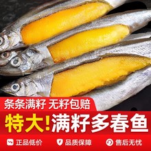 �ഺ�~�M�����r�����~����r��r��̖���ɺ��~����ʳ���˳�����