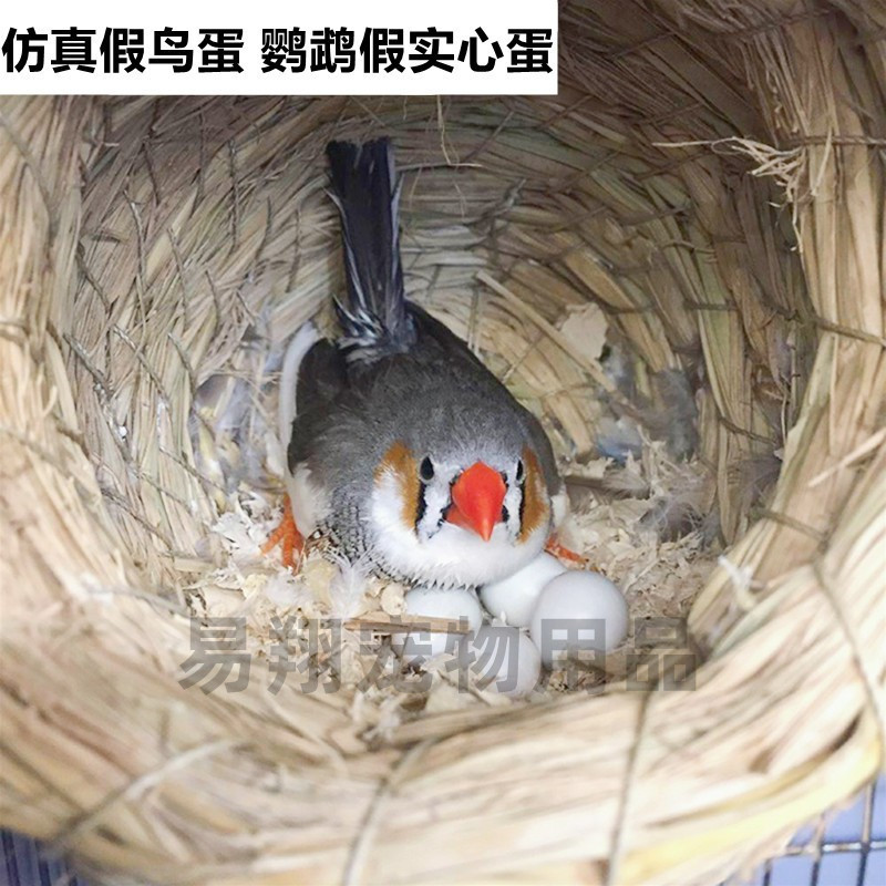 O1CN01v9I2bQ1gcFCHB0pjd_!!2351