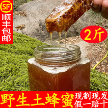 ȻľͰrԮaҰ؎Xɽٻԭl