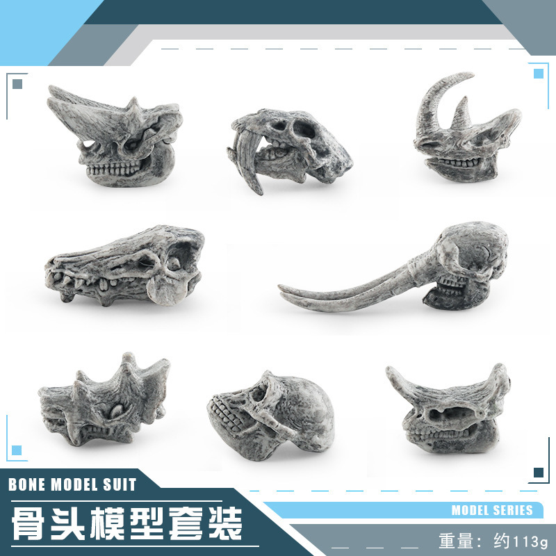 Cráneo animal prehistórico gris BL-1247 113G