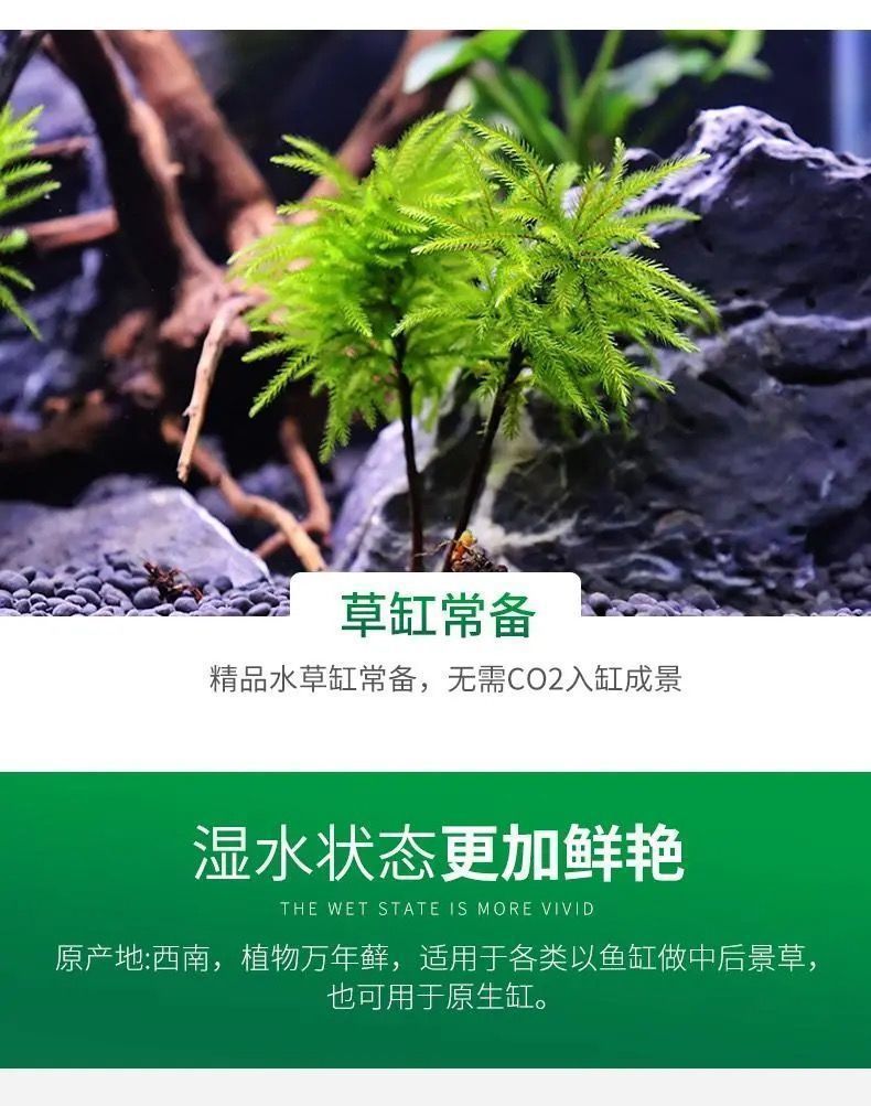 f2e98304-c91b-4ba4-b60b-a95b7dd2bcb1.jpe