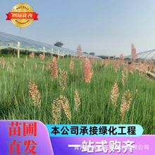 �@ˇ����߅�¾G�����ѵر��ݶ������o�²ݷN�ӻ첥�ݷN���l���u