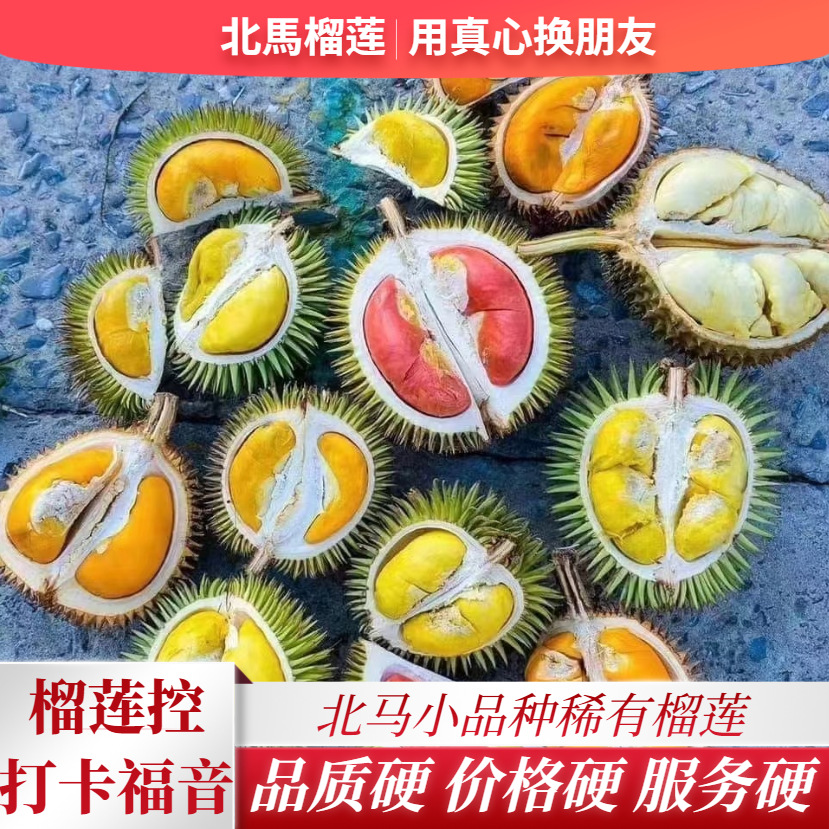 北马小品种榴莲肉冷冻江海榴葫芦榴莲红虾榴莲金凤榴莲猫山王榴莲