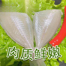 耗儿鱼中小号冰鲜扒皮鱼新鲜剥皮鱼大号冷冻马面鱼商用批发火锅料