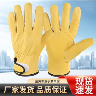 �ڱ�����늺��廡����ĥ͸����Ẹ���S�ޙCе���⹤��늺�����