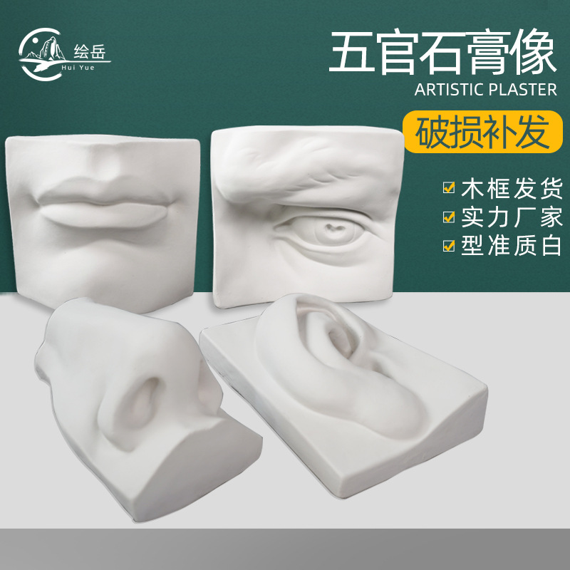 绘岳美术用品写生教具实面五官切面石膏像头像教育用品素描套装