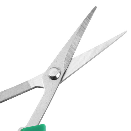 Garden tools fruit tree picking grape picking scissors stainless steel gardening thin fruit scissors warped branch shears