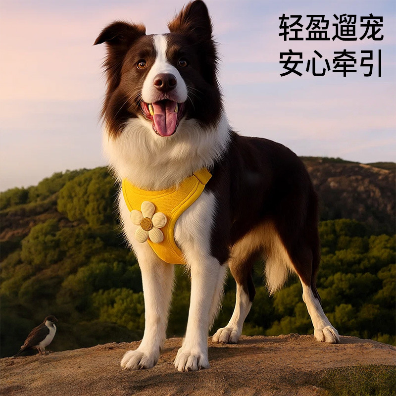 Pipi Amoy pétalo correa para el pecho correa para mascotas gato cachorro correa para perro suministros de tracción tracción para perros