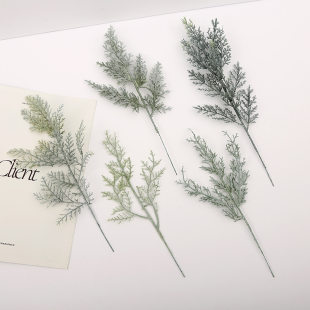 (Wholesale), realistic decorative accessory, Amazon, (Physicals)