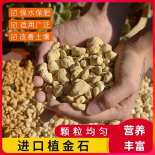 Planting Stone Japan Imported Original Orchid Special Plant Material Granules Nutrition Soil Orchid Stone Fleshy Pavement Planting and Cultivation