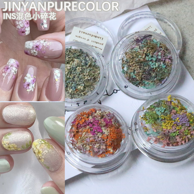 Japanese Ins New Mixed Color Lace Flower Dried Flower Oil Painting Wind Mixed Small Dried Flower Floral Baffle Nail Art Diy Decoration
