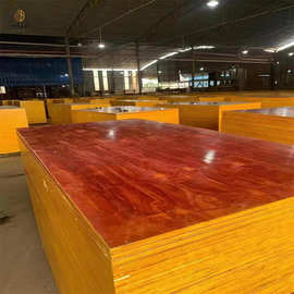 木板材  湖南地区工地桉木胶合板建筑模板现货销售 工厂直销