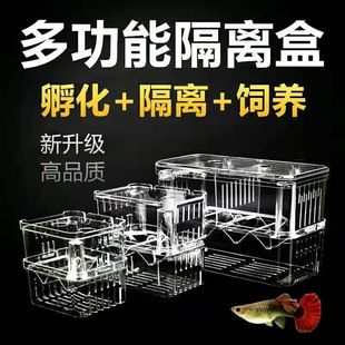 Fish Tank Isolation Box Peacock Fish Breeding Box Hatching Box Dou Cup Tropical Fish Small Fish Juvenile Fish Extra Large Box Production Room