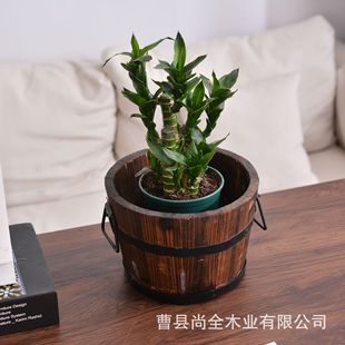 �̨�b�̼��ľ���⻨��F�����sľ��С�AͰ���Ì�ľ�߲˷NֲͰ