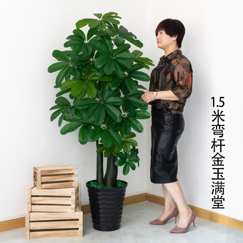 Árbol de la Fortuna Artificial de Plástico Decorativo para Sala de Estar e Interior image 23
