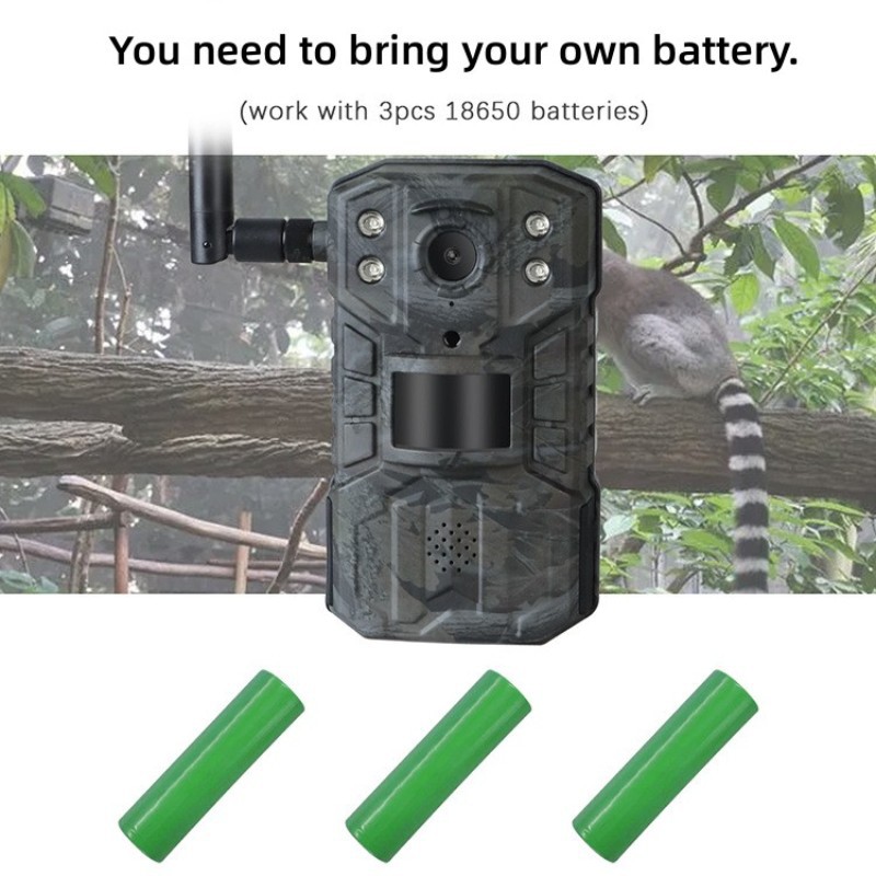 H10000005.jpg
