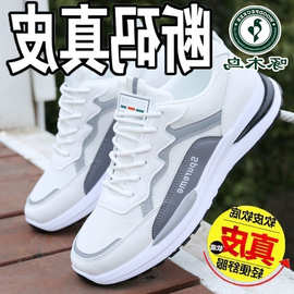 啄木鸟断码真皮减震运动鞋2025新款男防滑透气跑步轻便帆布鞋男