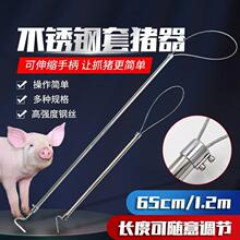 猪器器猪保定抓猪套猪嘴猪套拉套钢丝自锁养殖场长杆猪用绳垒德株