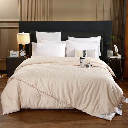 80S 100% Cotton Silk Comforter Core Hand-Thickened Warm Silk Winter Comforter for Couples Summer Cotton Air Conditioning Comforter with Shipping
