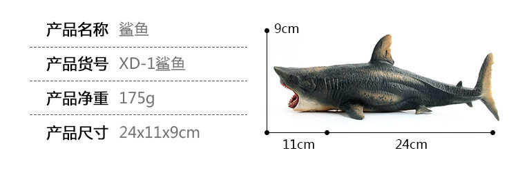 鲨鱼_02.jpg