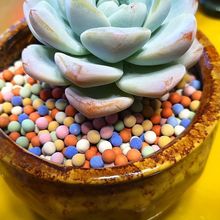 彩陶粒彩石多肉植物铺面石子彩色陶粒水培装饰陶粒球五彩石子彩球