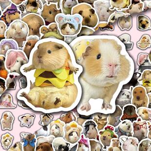 100�����󌑌��L���֦��D�b�ɐ��Ȍ��N��ˮ���֙C����diy�N��