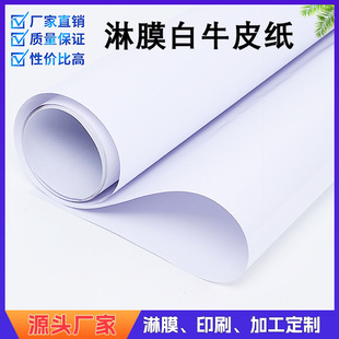 Coated White Kraft Paper Food Wrapping Paper Waterproof Composite Paper Roll Printing Double-Sided Pe Coated Paper Spot Wholesale