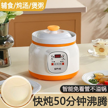 儿童陶瓷电炖锅全自动炖汤锅煲汤锅熬煮粥神器电砂锅家用小辅食锅