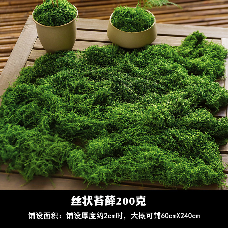 Simulación de musgo artificial de fibra de tela de peluche Micropisaje Disposición ornamental Césped bonsai maceta decoración paisajística