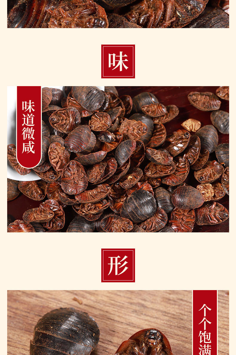 Tu Yuan (Eupolyphaga sinensis) — Dried Ground Beetle Herb, Food-Grade, Powder Available key features