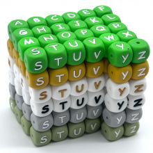 2026�ﶬ�羳���Q�¿���ĸ���z���������