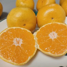 ����ʯ�T�����������ٌm���۽۬Fժ���r�����ЋD�ˮ������Ԃ�