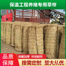 �S�ҹ��������݉|���������ݴ��ݰ���Ѵ�o�¹��̲݉|�Ӳݴ�