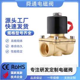电磁阀厂家4分水阀 2WBY-15 直动式AC220V黄铜常闭型铜线圈电磁阀