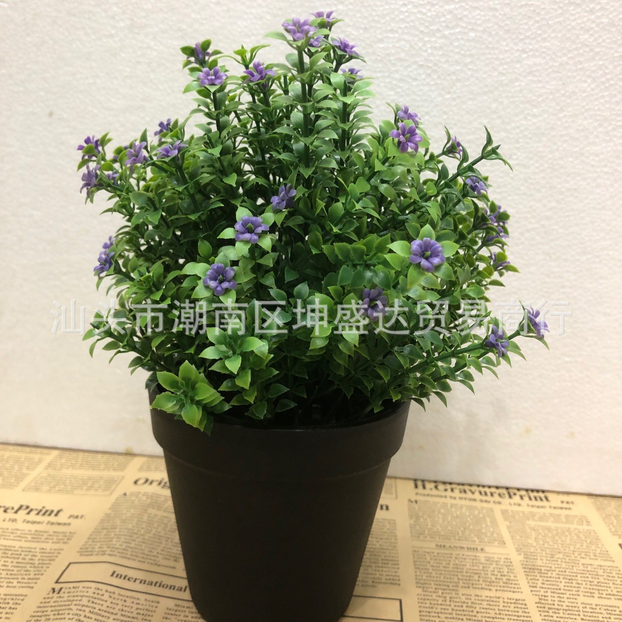 보라색